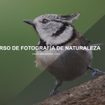 Curso de fotografía de Naturaleza