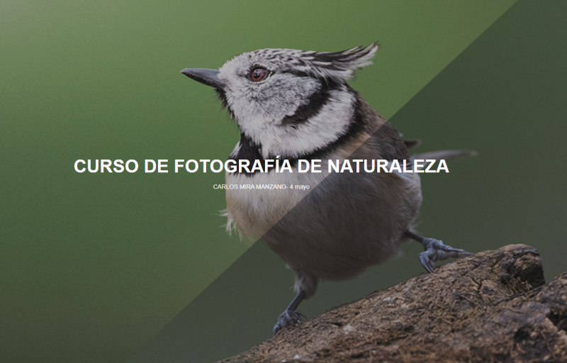 Curso fotografía de naturaleza