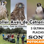 Evento con SONY España en Soto de Viñuelas