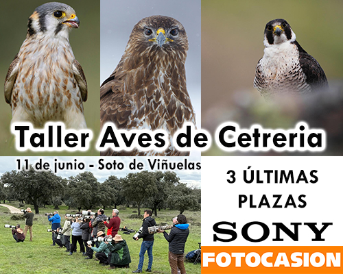Evento con SONY España en Soto de Viñuelas