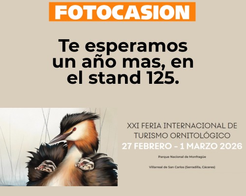 Fotocasión en FIO 2026